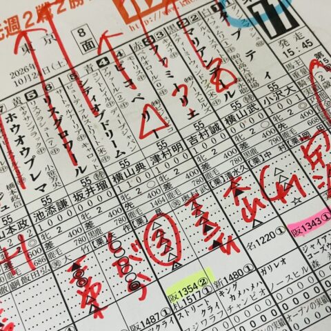 ケン子予想〜10/24土東京11RアルテミスS