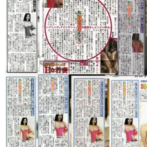 日刊スポーツ：期間限定連載
