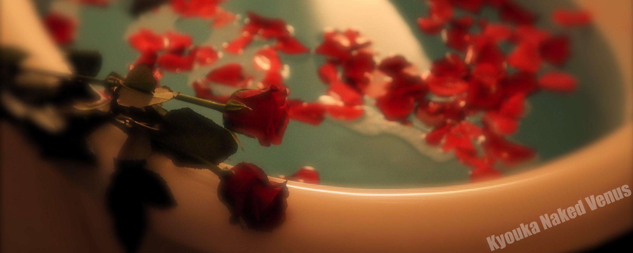 アシュタルテプレイスケジュール