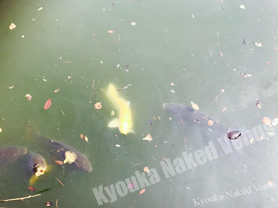 闇も光も同じ場所から