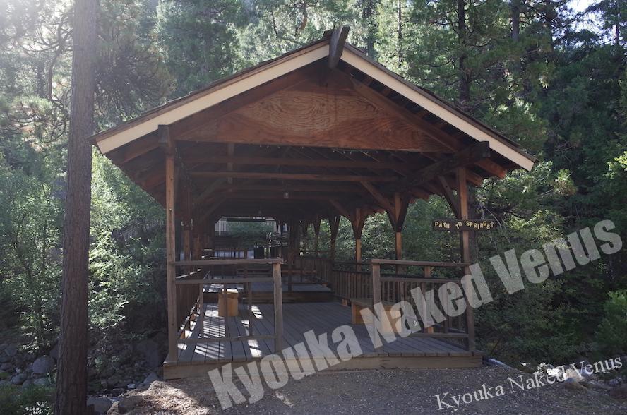 ほんものであるために