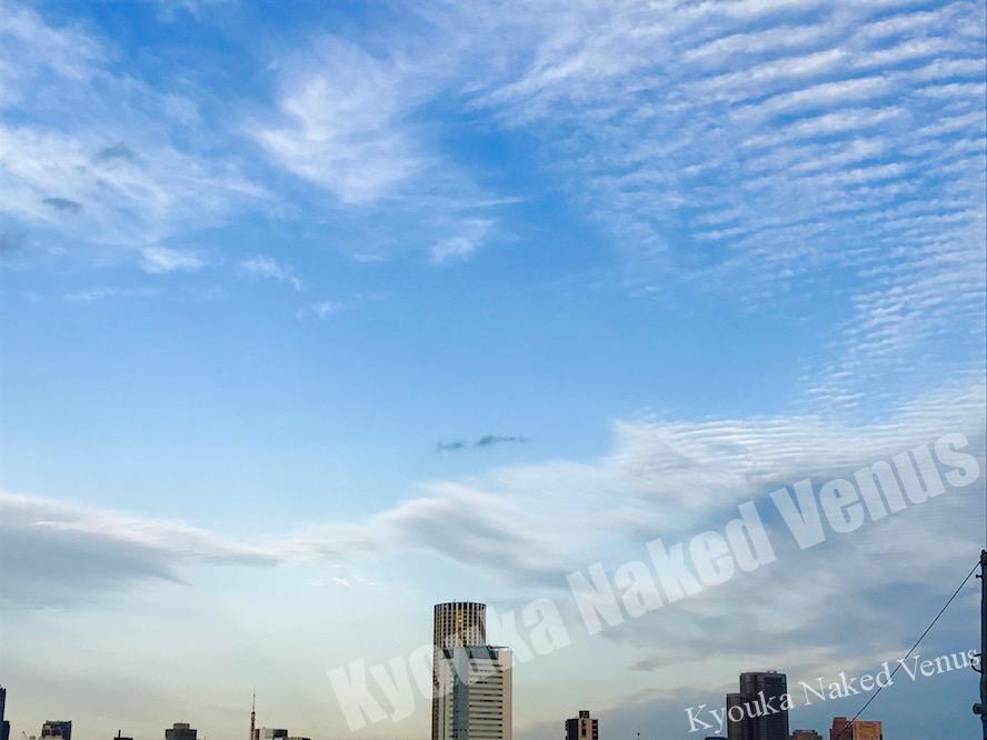 雲綺麗です。