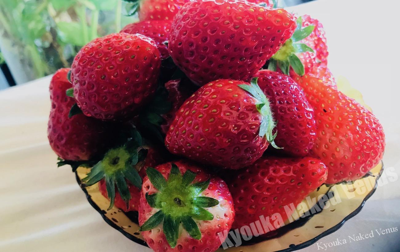 高熱でダウンしてました( ;∀;)