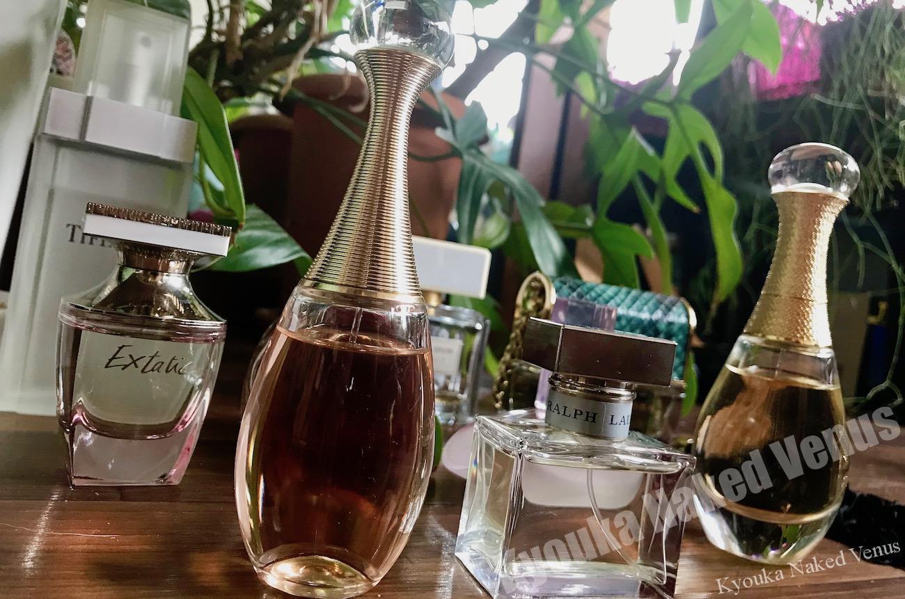 【直感を磨く】これ「が」いい☆で決める【快感が増える】