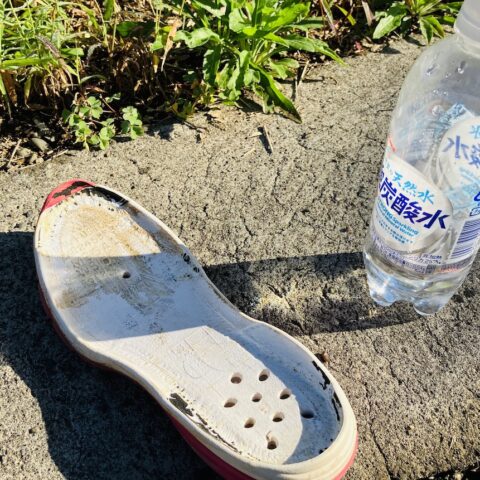 宇宙の采配が相変わらずハード笑